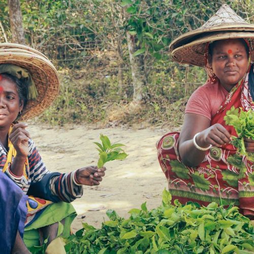 Zimbabwe CSR: Sustainable Agriculture & Youth Employment Success Stories